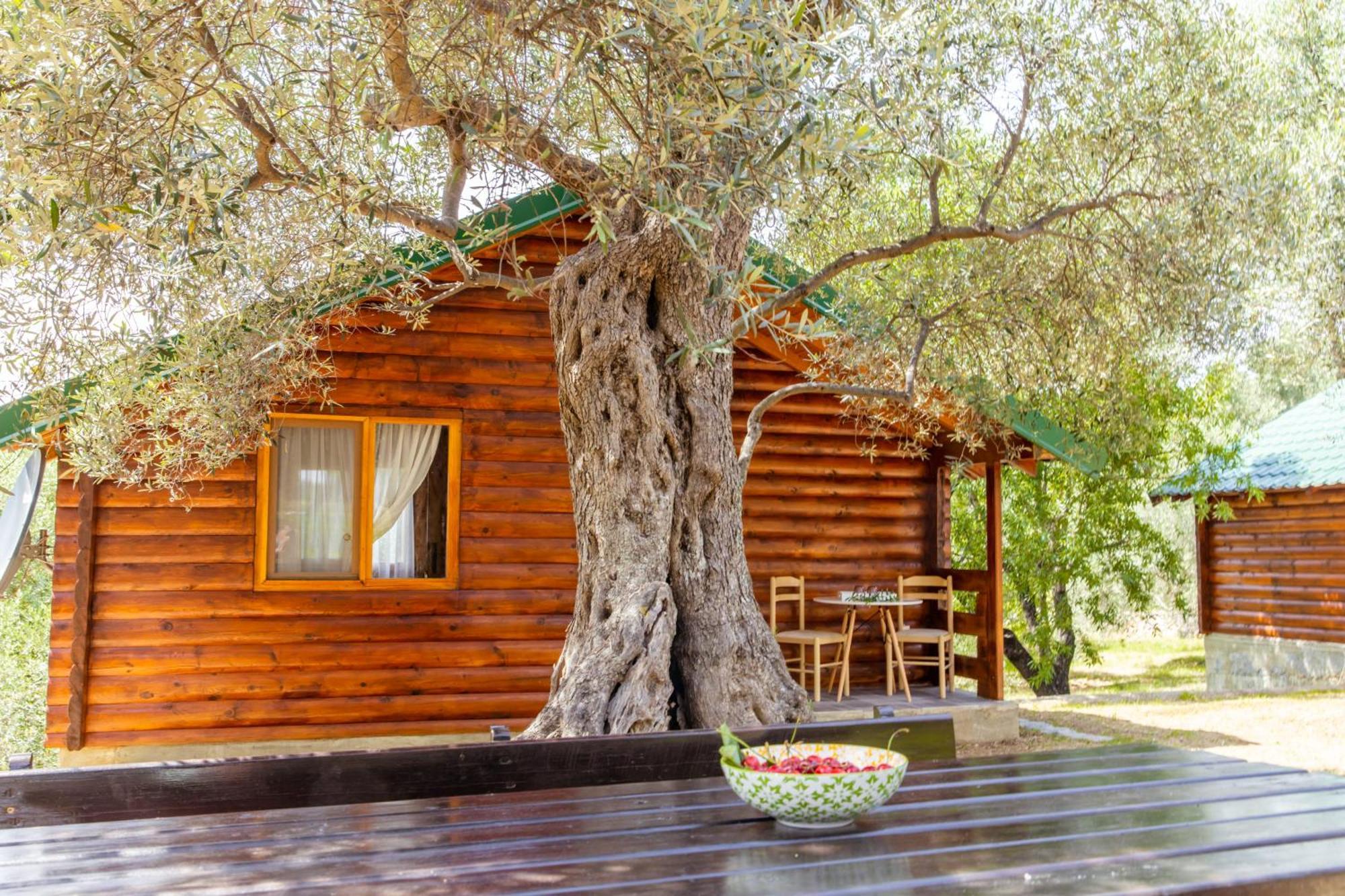 Katana Village Apartment Ulcinj Exteriér fotografie